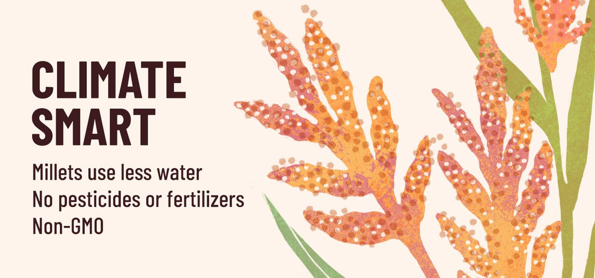 Advertisement for climate-smart millets with text and stylized millet plants on a beige background.