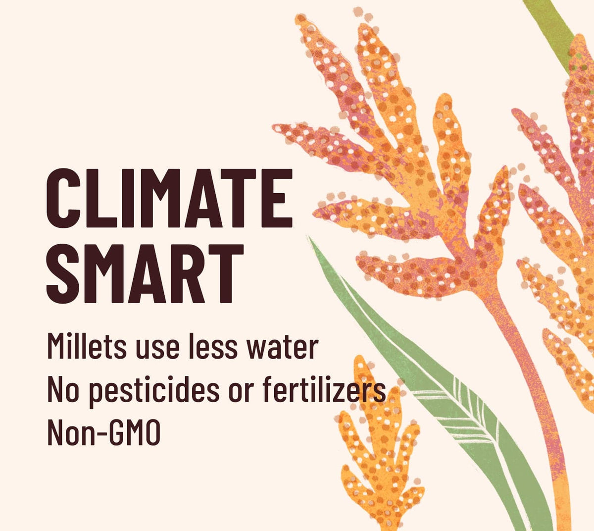 Advertisement for climate-smart millets with text and stylized illustrations of millet plants.