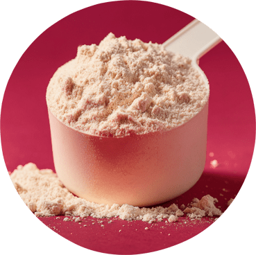 Protein Powder